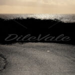 Road – California – Aruba - DileVale