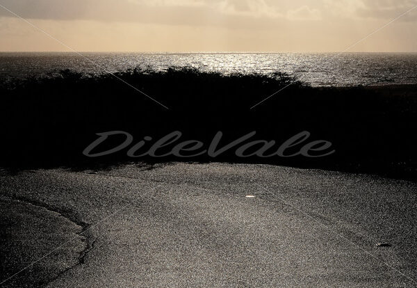 Road – California – Aruba - DileVale