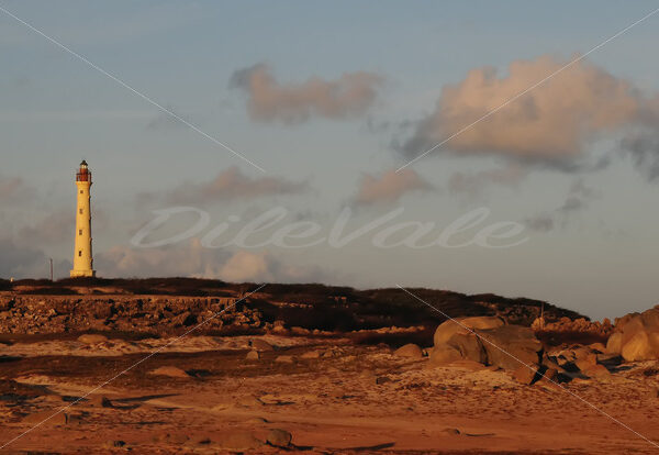 Rocks – California – Aruba - DileVale