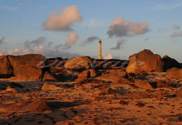 Rocks – California – Aruba - DileVale