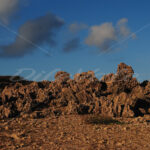 Rocks – California – Aruba - DileVale