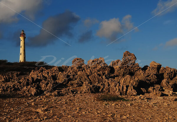 Rocks – California – Aruba - DileVale