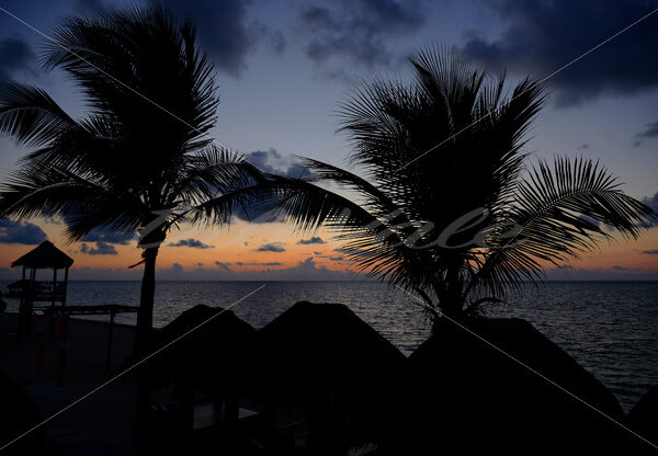 Sunrise – Cancun - DileVale