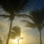 Sunrise – Cancun - DileVale