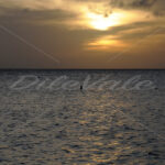 Sunset – Boca Catalina Beach – Aruba - DileVale