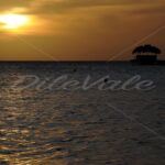 Sunset – Boca Catalina Beach – Aruba - DileVale