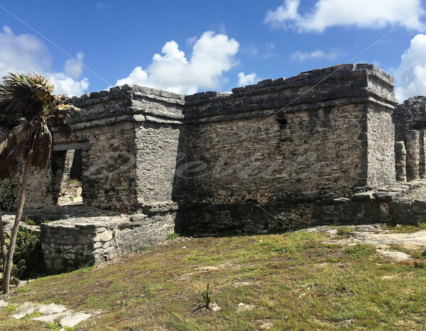 Tulum – Mexico - DileVale