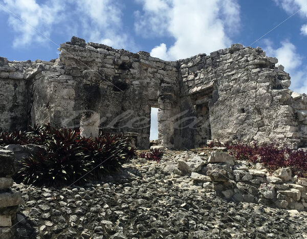 Tulum – Mexico - DileVale