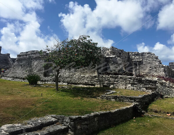 Tulum – Mexico - DileVale
