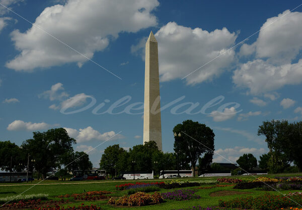 Washington Monument – Washington DC - DileVale