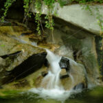 Waterfall – Washington Zoo - DileVale