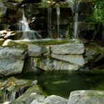 Waterfall – Washington Zoo - DileVale