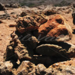 Wishing Stones – Aruba - DileVale