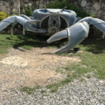 Crab Artifact – Punta Cana - DileVale