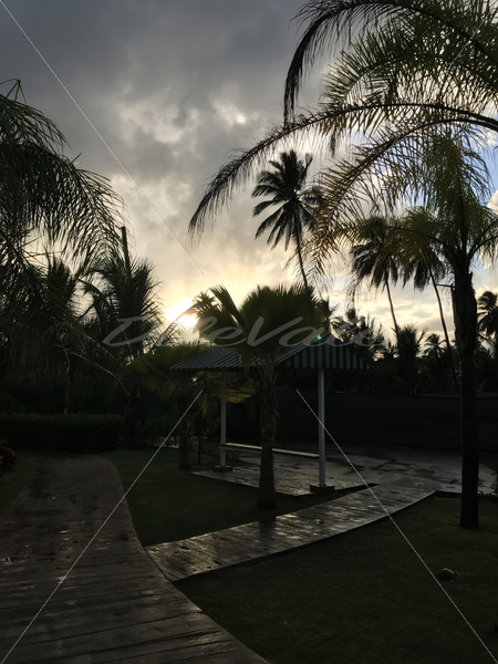 Punta Cana – Dominican Republic - DileVale